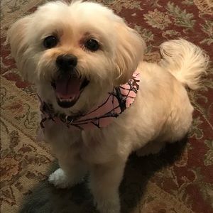 Meet your Posher, Joseph